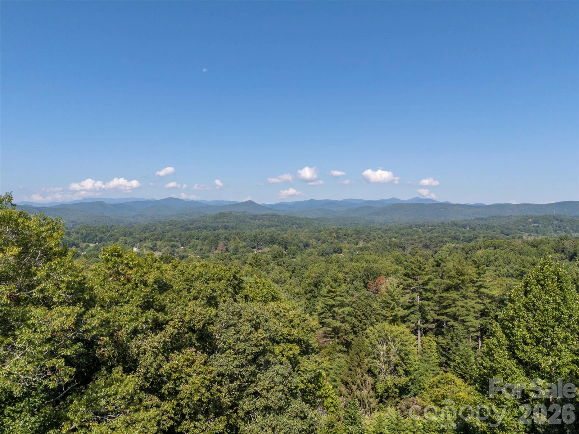 58 Timbertop Lane - Photo 39