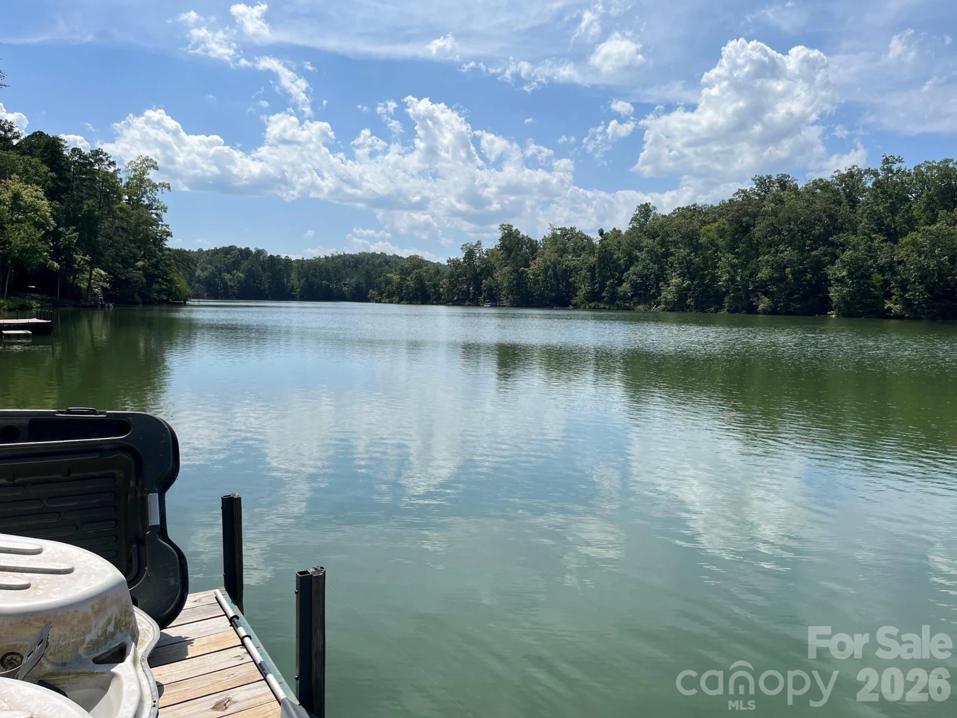 1237 South Cove Road - Photo 41