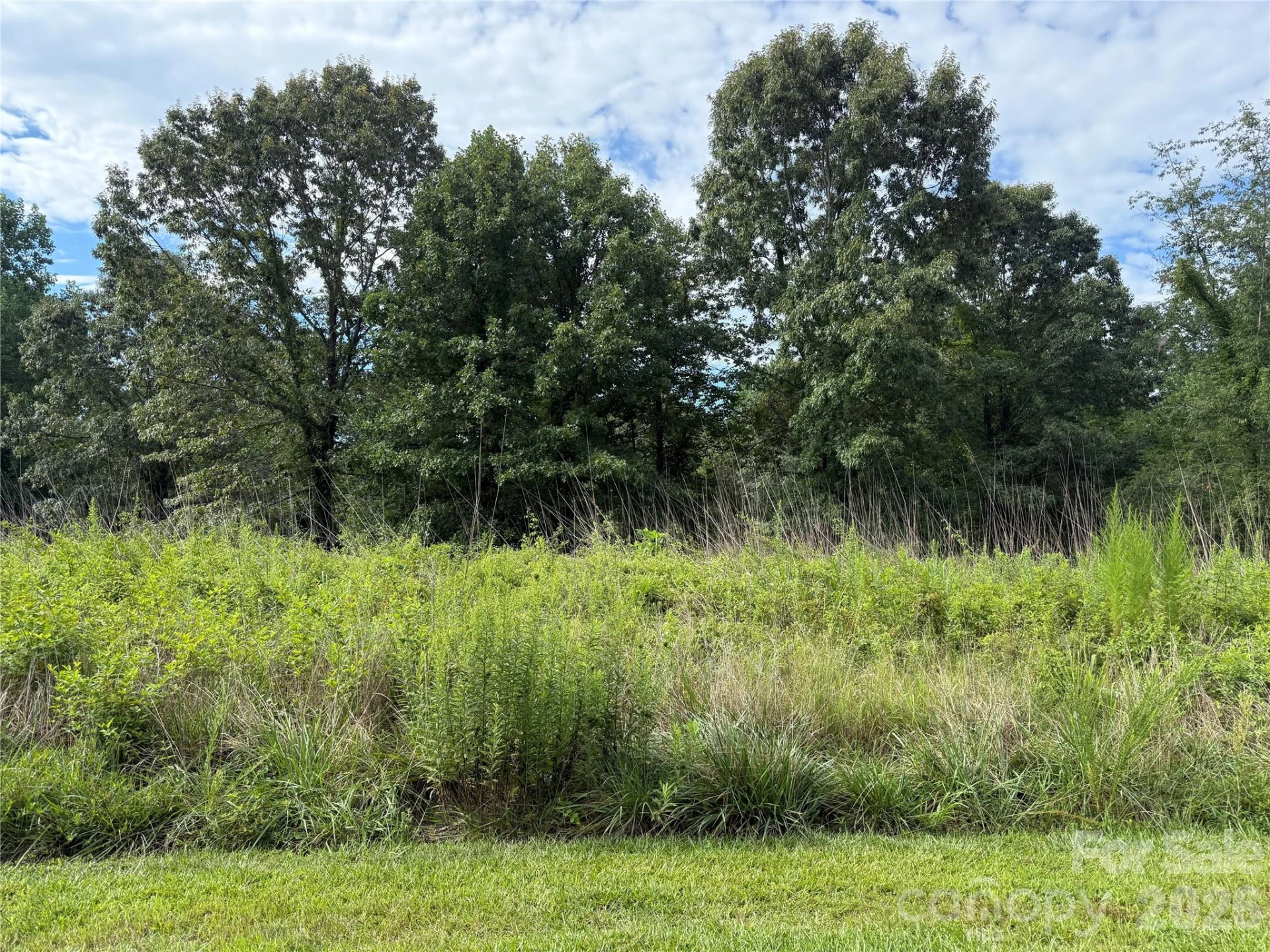 LOT 73 Ole Plantation Drive - Photo 2