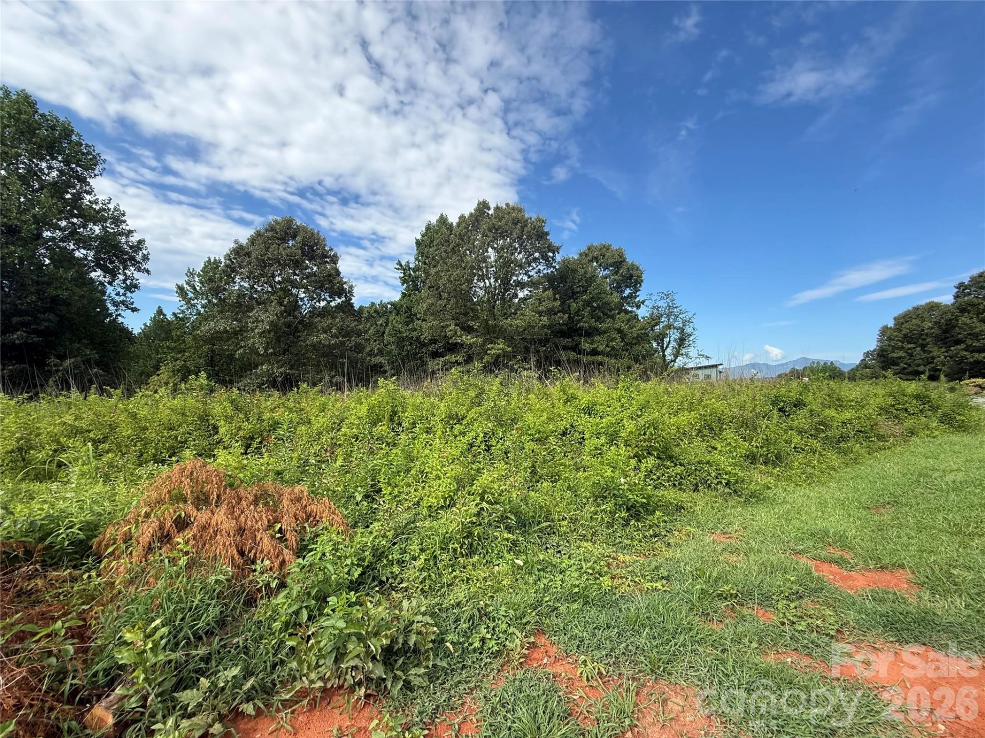 LOT 73 Ole Plantation Drive - Photo 3