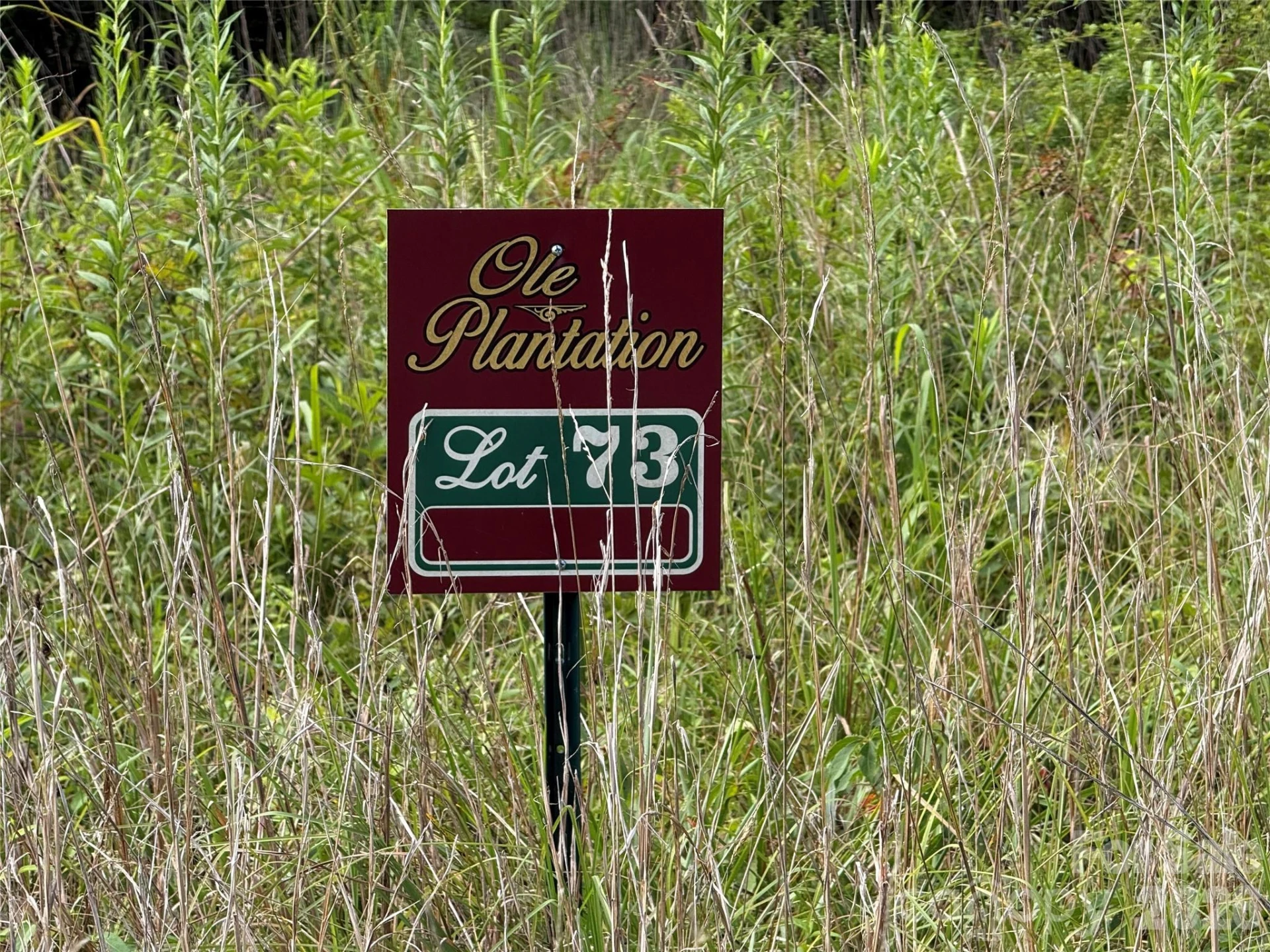 LOT 73 Ole Plantation Drive - Photo 6