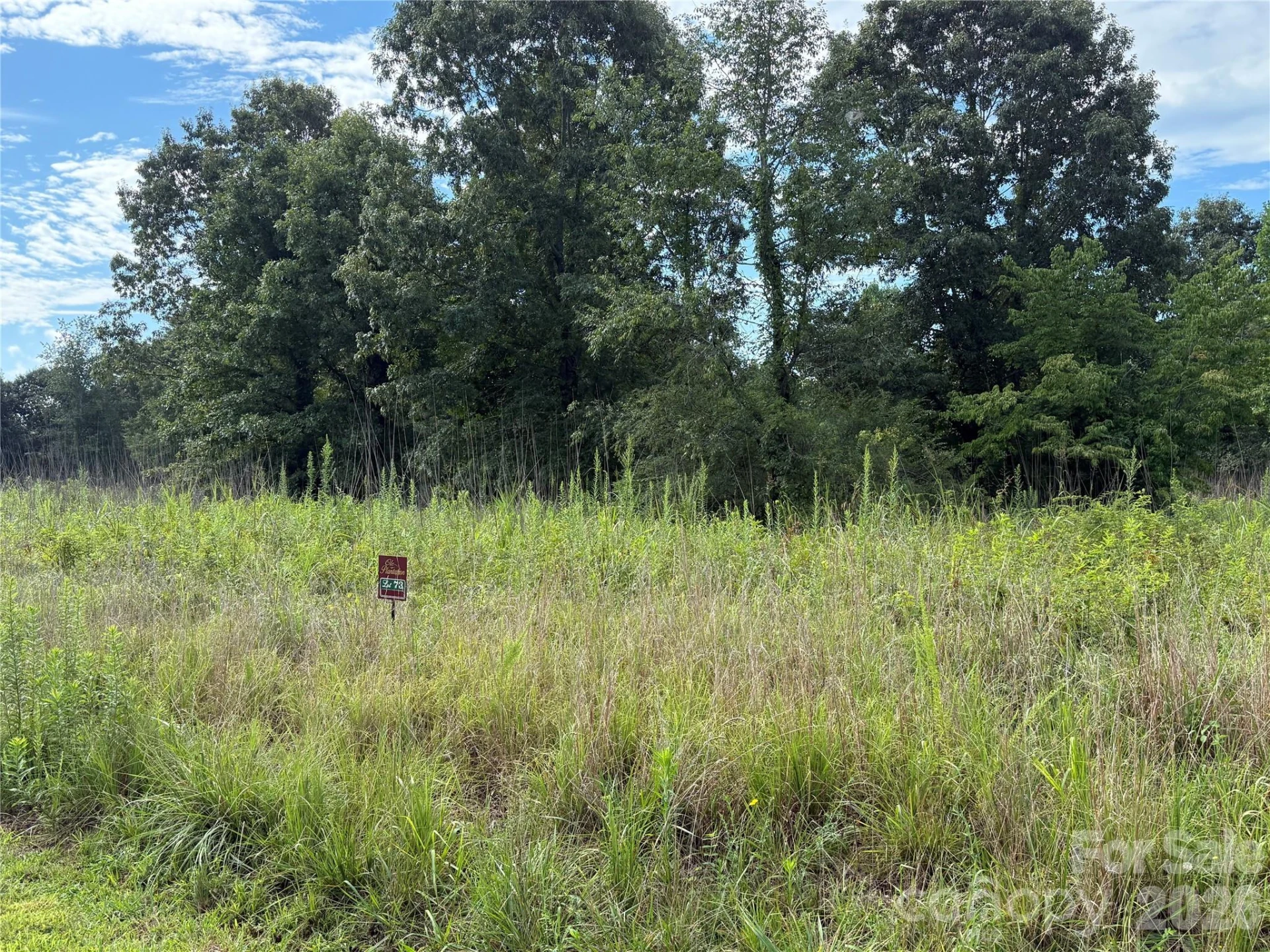 LOT 73 Ole Plantation Drive - Photo 7