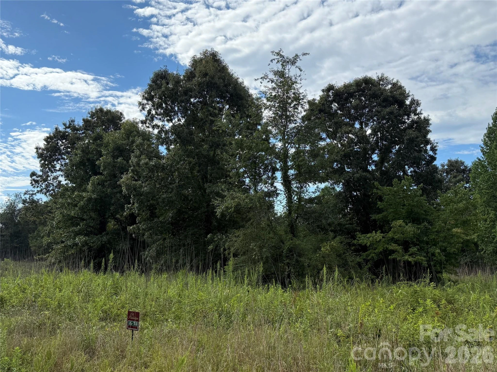 LOT 73 Ole Plantation Drive - Photo 9