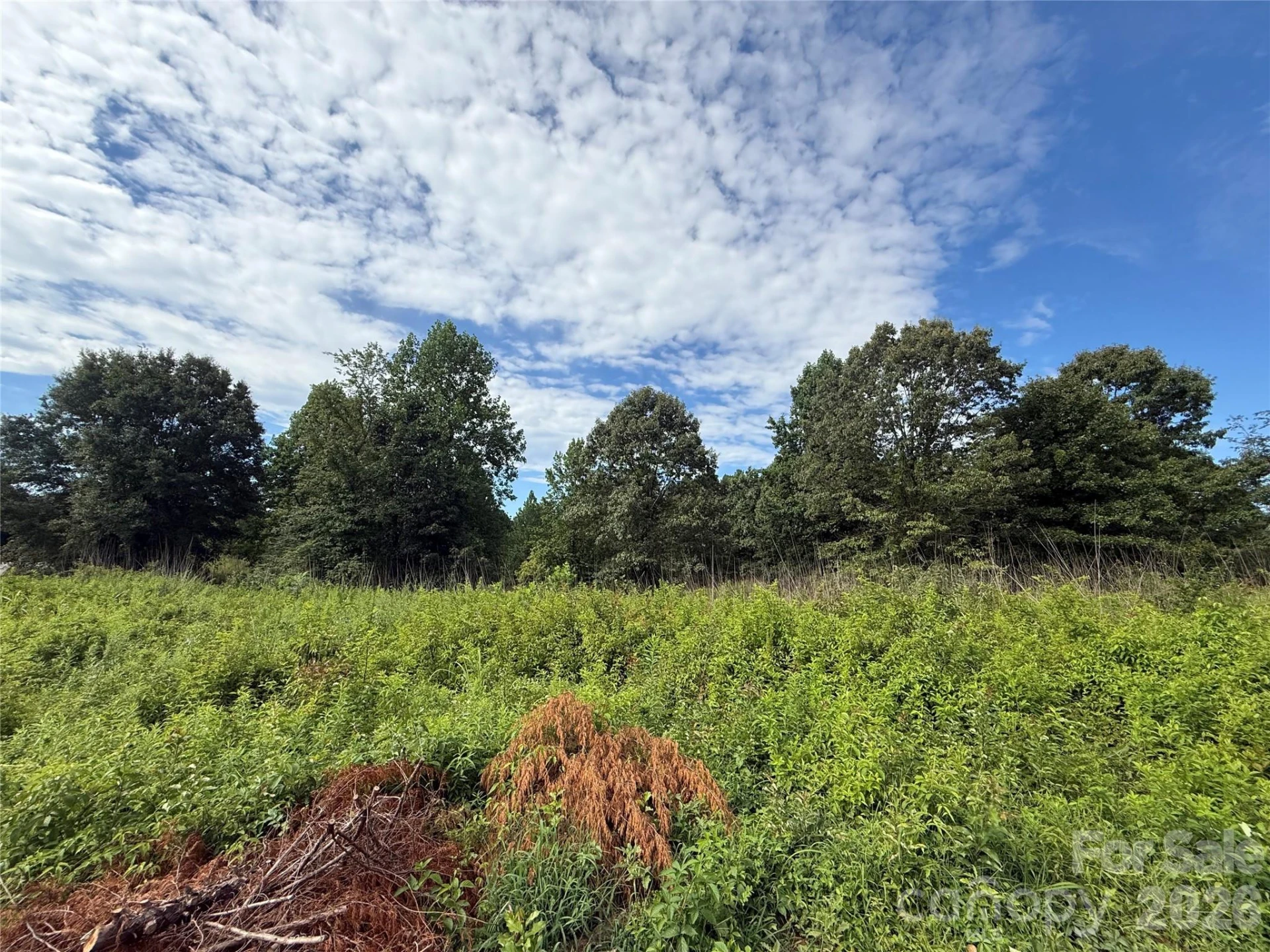 LOT 73 Ole Plantation Drive - Photo 10