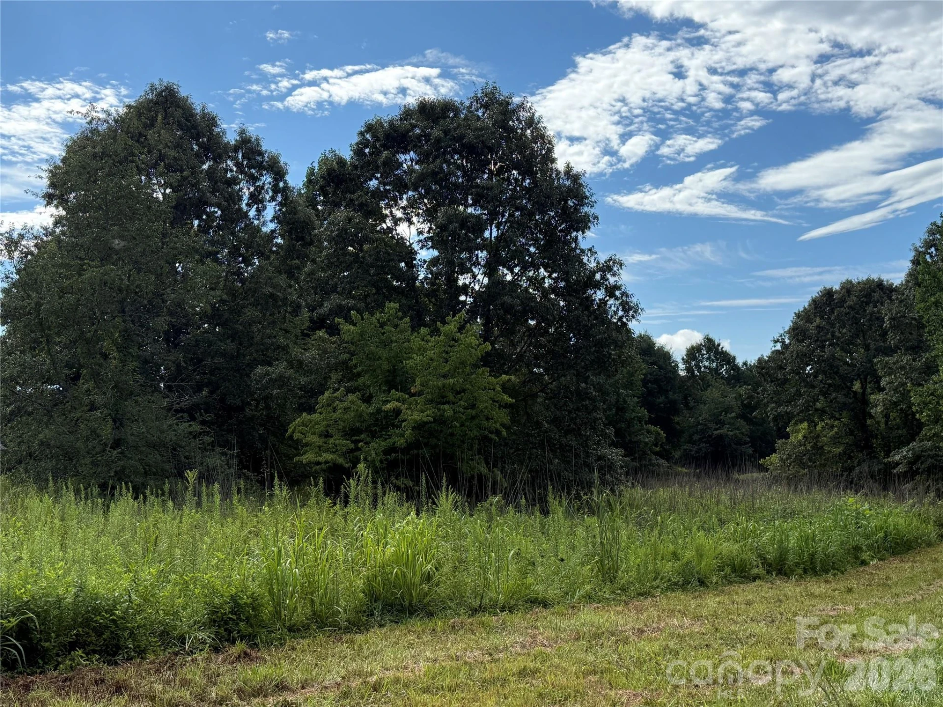 LOT 73 Ole Plantation Drive - Photo 12