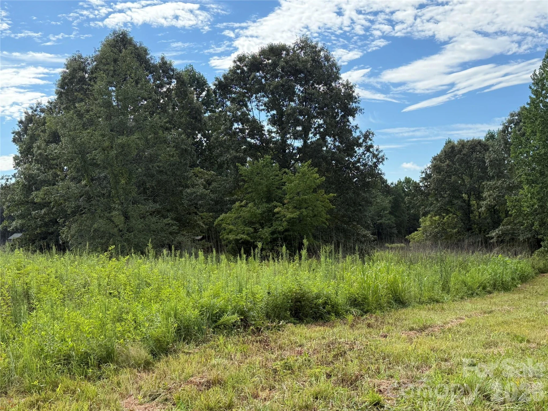 LOT 73 Ole Plantation Drive - Photo 13