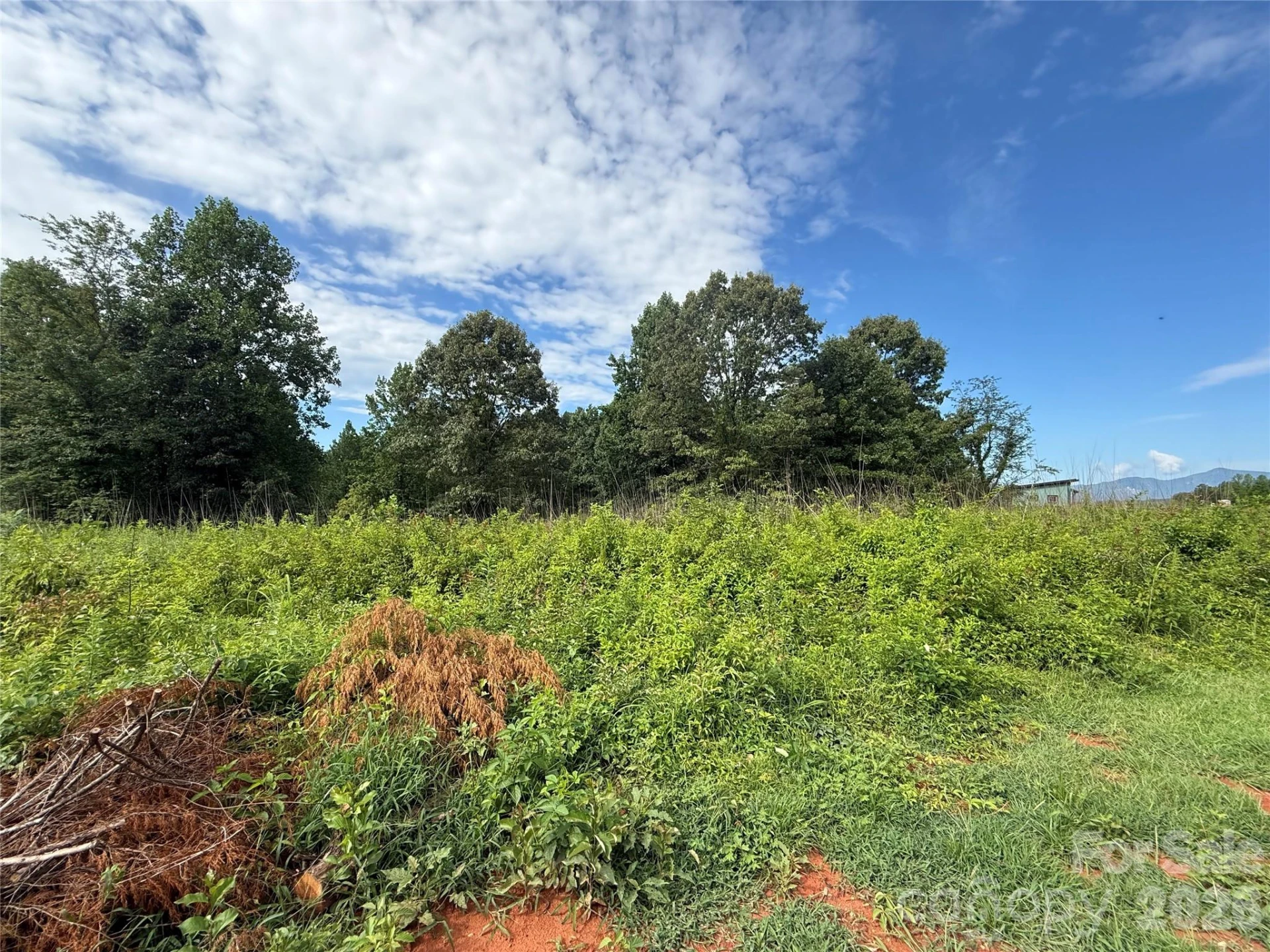 LOT 73 Ole Plantation Drive - Photo 15