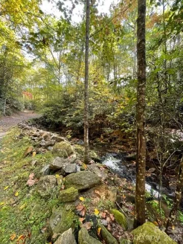 724 Blackgum Court, Hendersonville, NC, 28739
