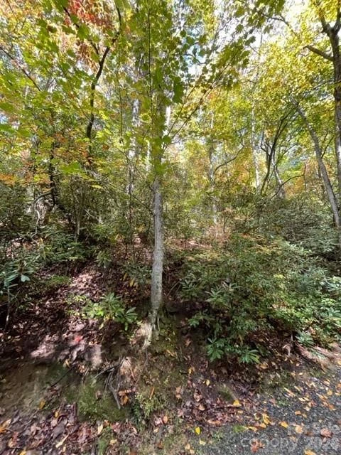 724 Blackgum Court ##350 - Photo 5