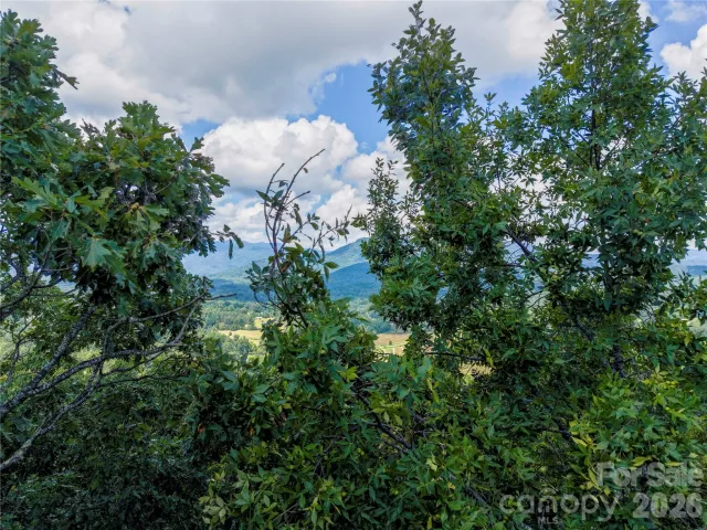 0 High Pines Loop, Lake Lure, NC, 28746