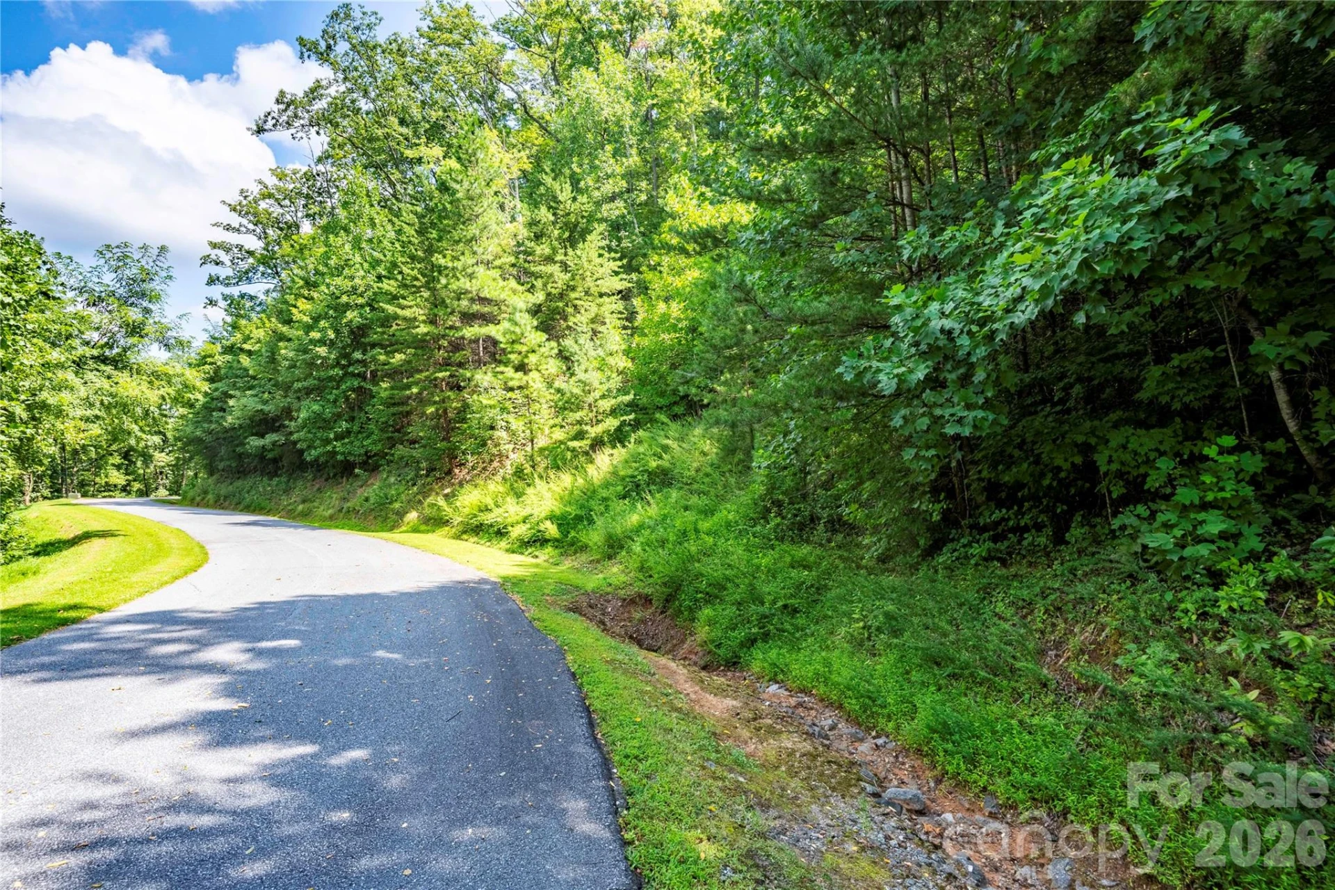 0 High Pines Loop #139 - Photo 11