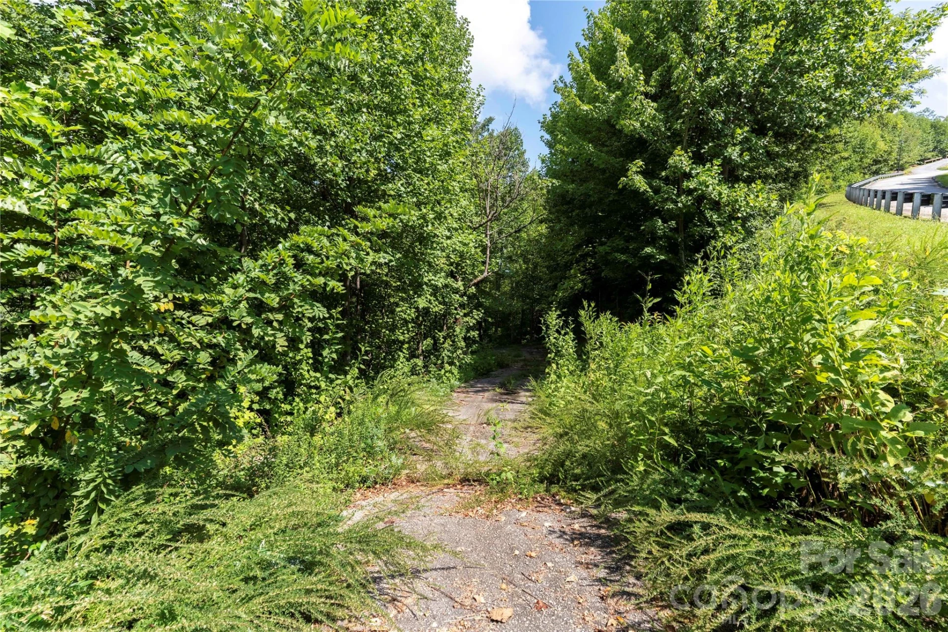 0 High Pines Loop #139 - Photo 15