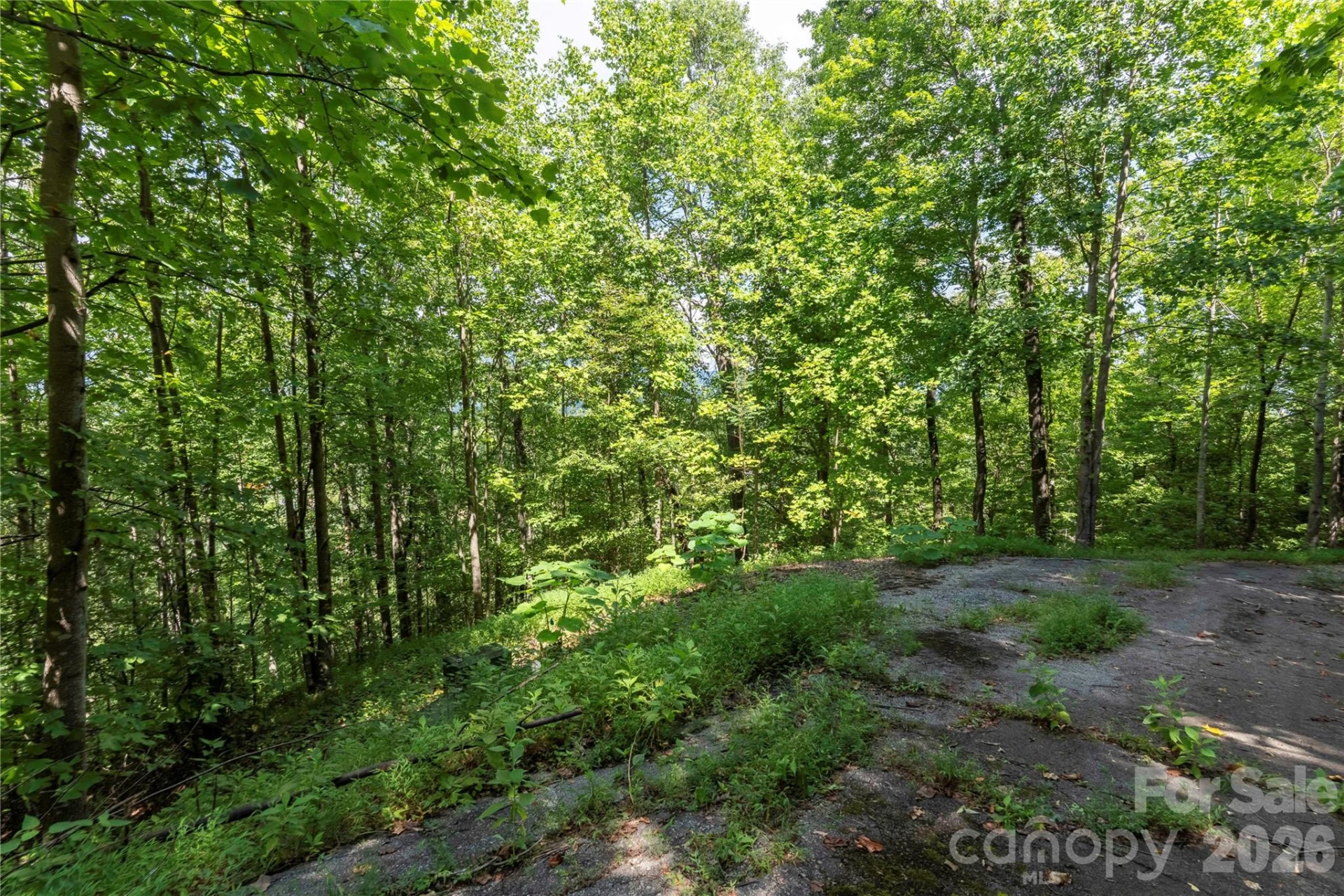 0 High Pines Loop #139 - Photo 18