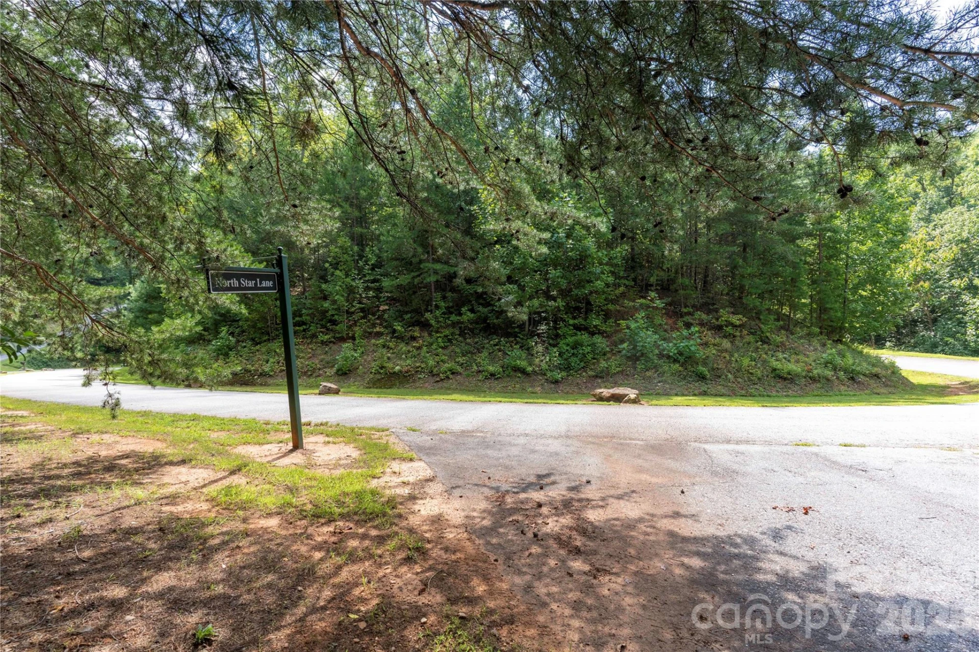 0 High Pines Loop #139 & 157 - Photo 14