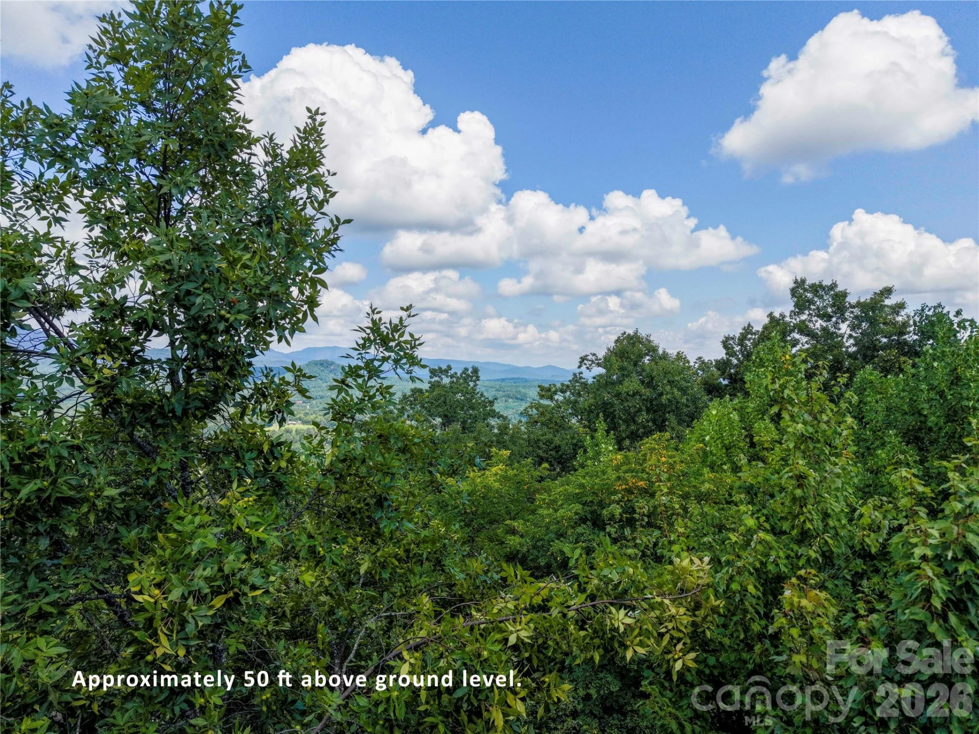 0 High Pines Loop #139 & 157 - Photo 27