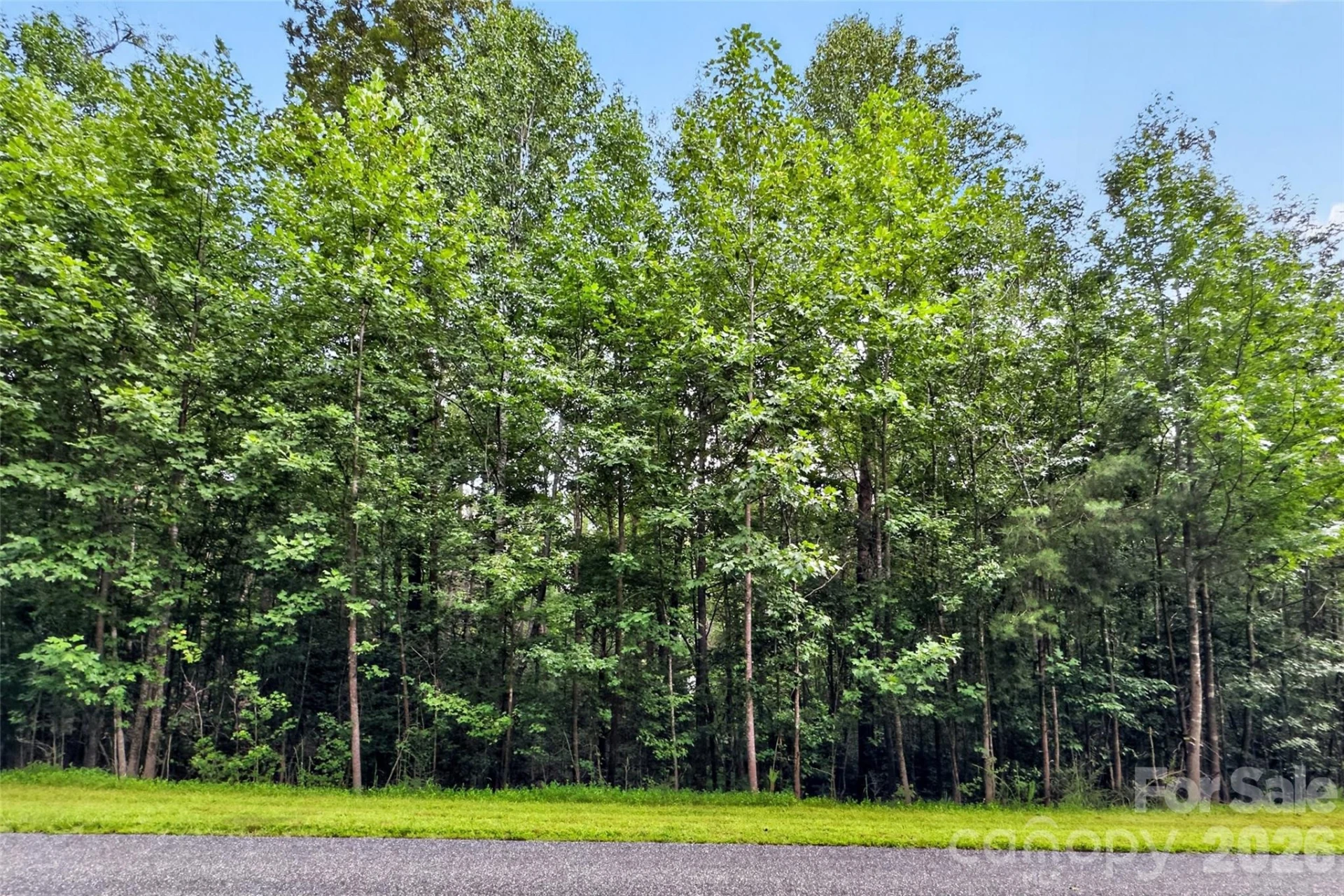 360 Harborside Drive - Photo 3
