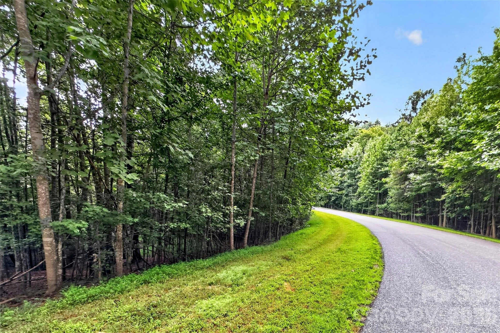 360 Harborside Drive - Photo 5