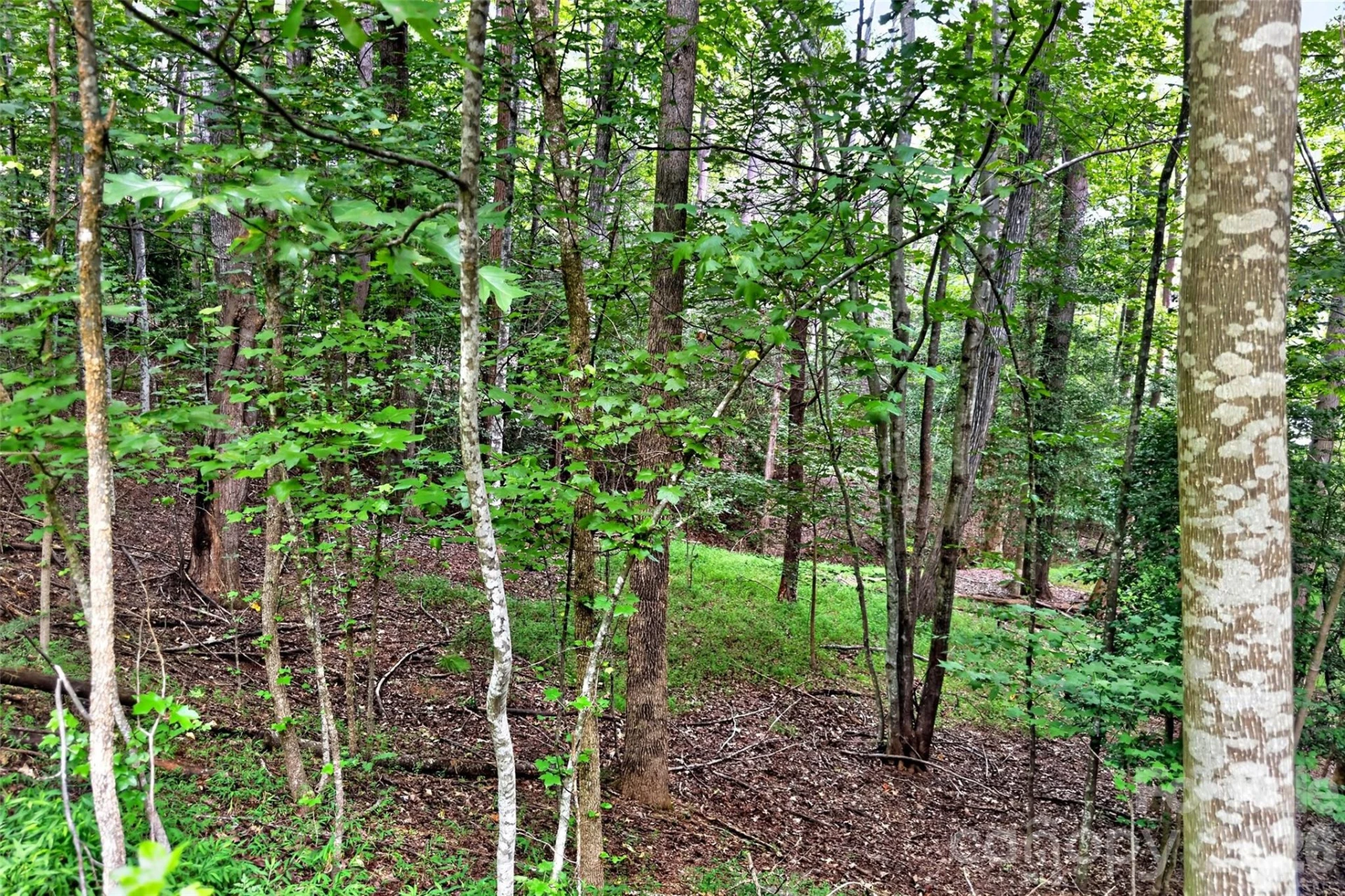 360 Harborside Drive - Photo 6