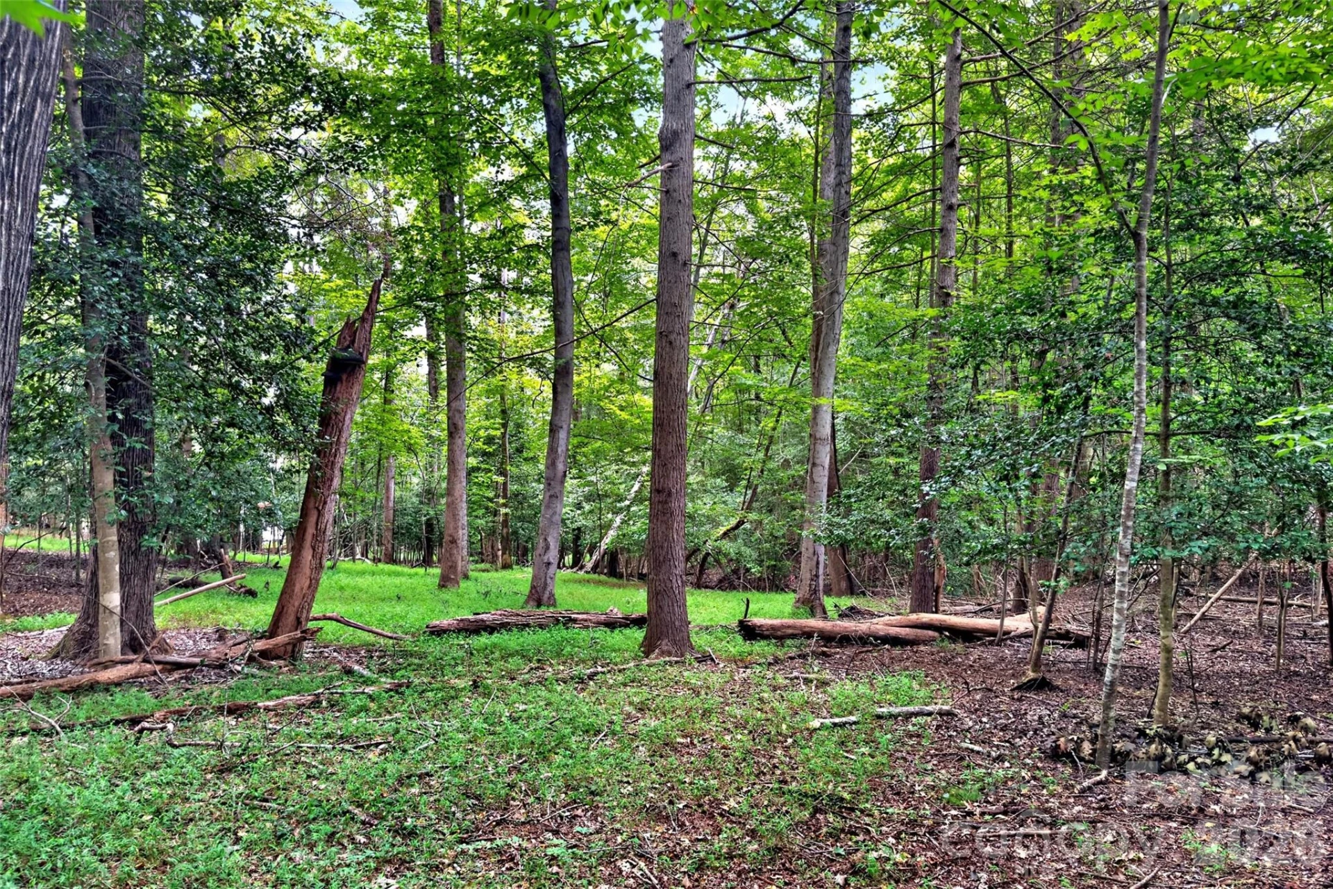 360 Harborside Drive - Photo 7