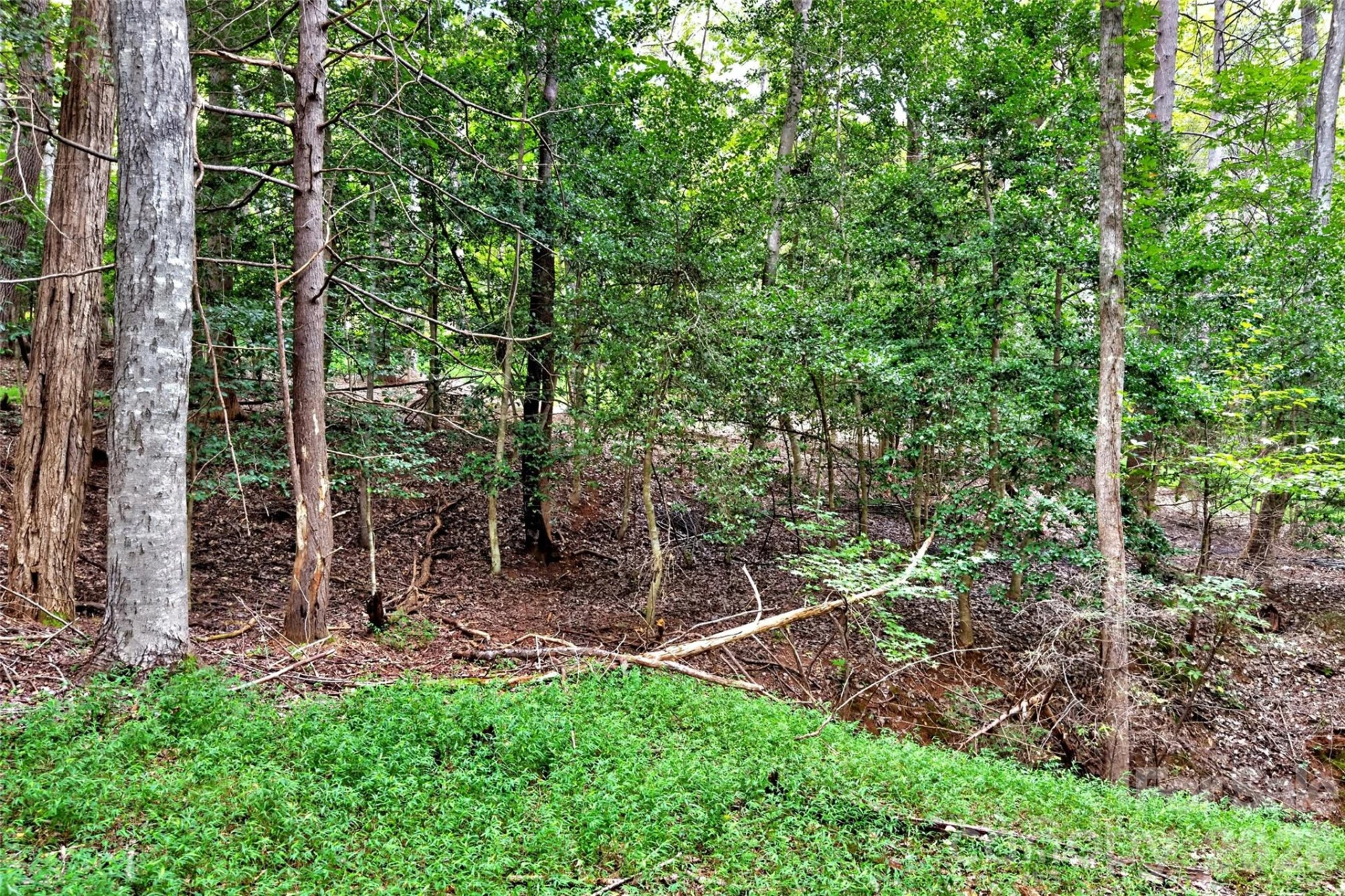360 Harborside Drive - Photo 8