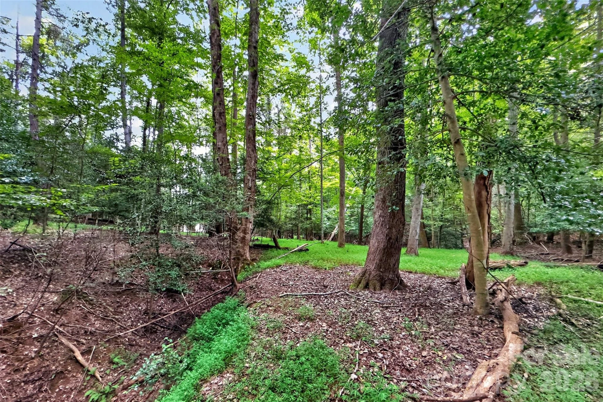 360 Harborside Drive - Photo 9