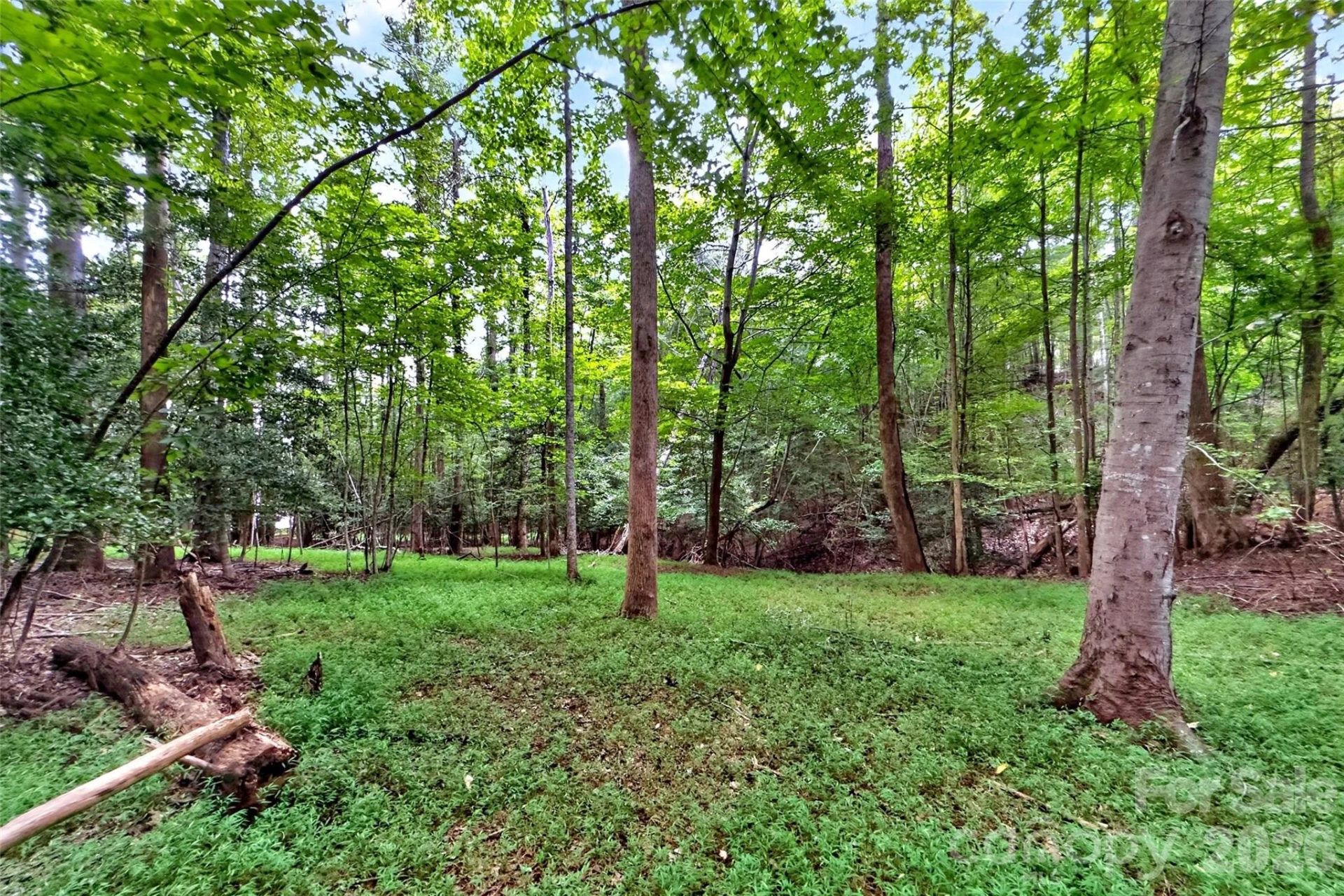 360 Harborside Drive - Photo 10