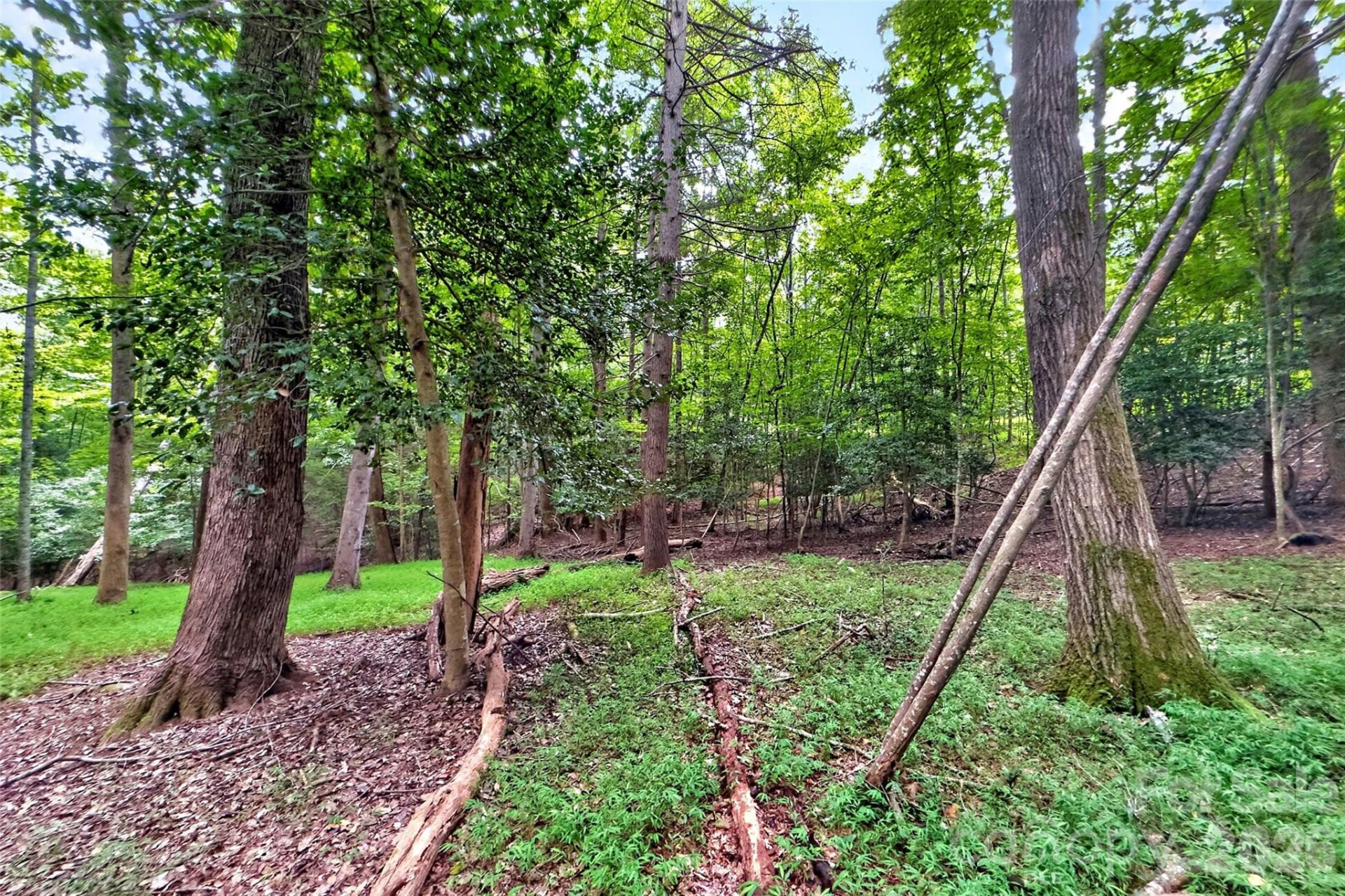 360 Harborside Drive - Photo 11