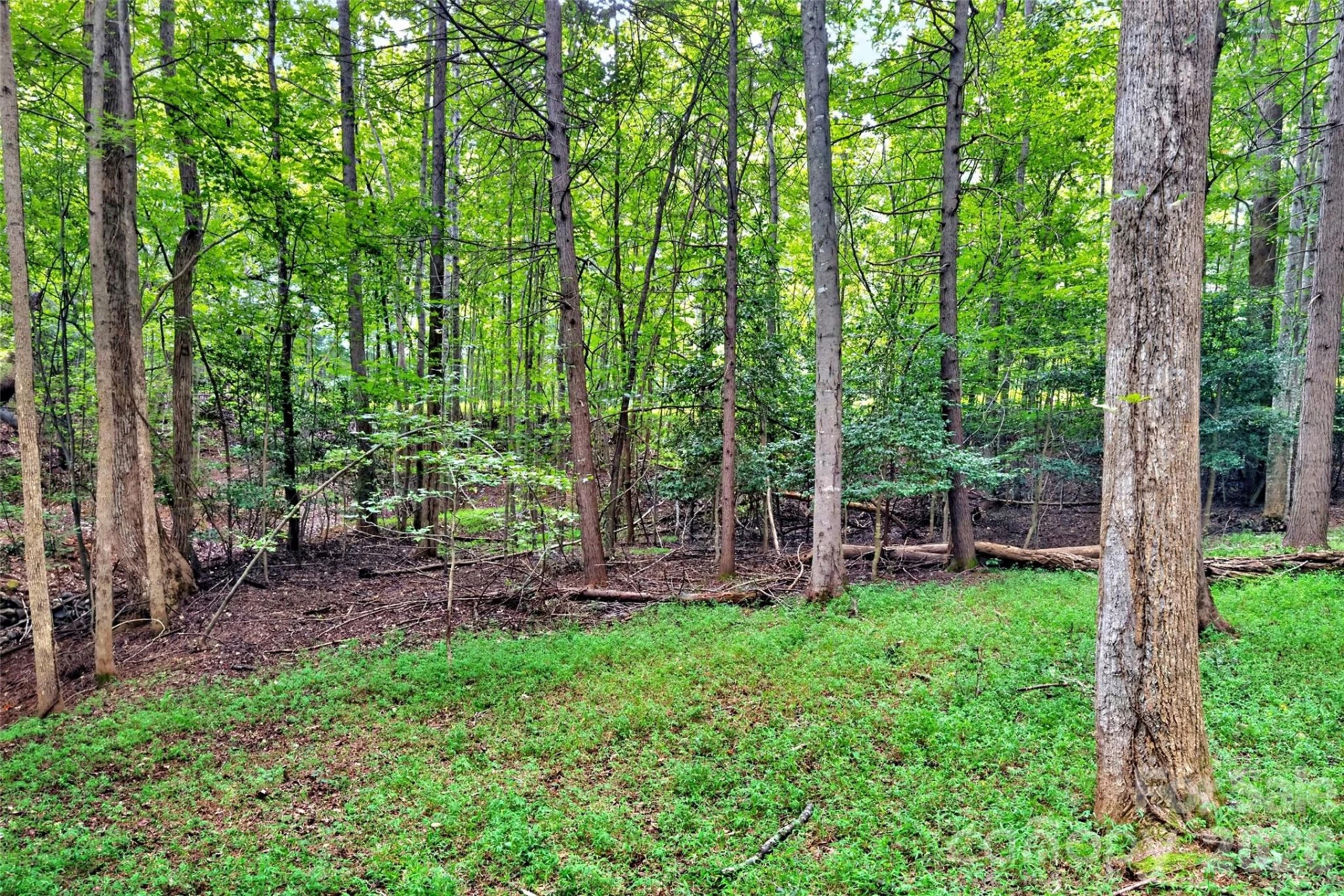 360 Harborside Drive - Photo 12