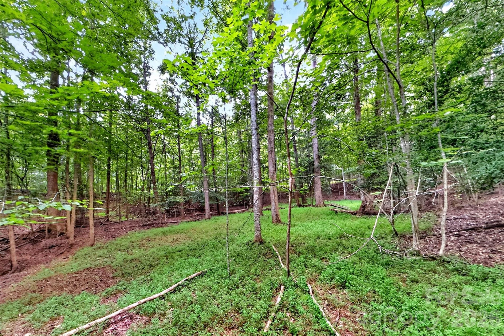 360 Harborside Drive - Photo 13