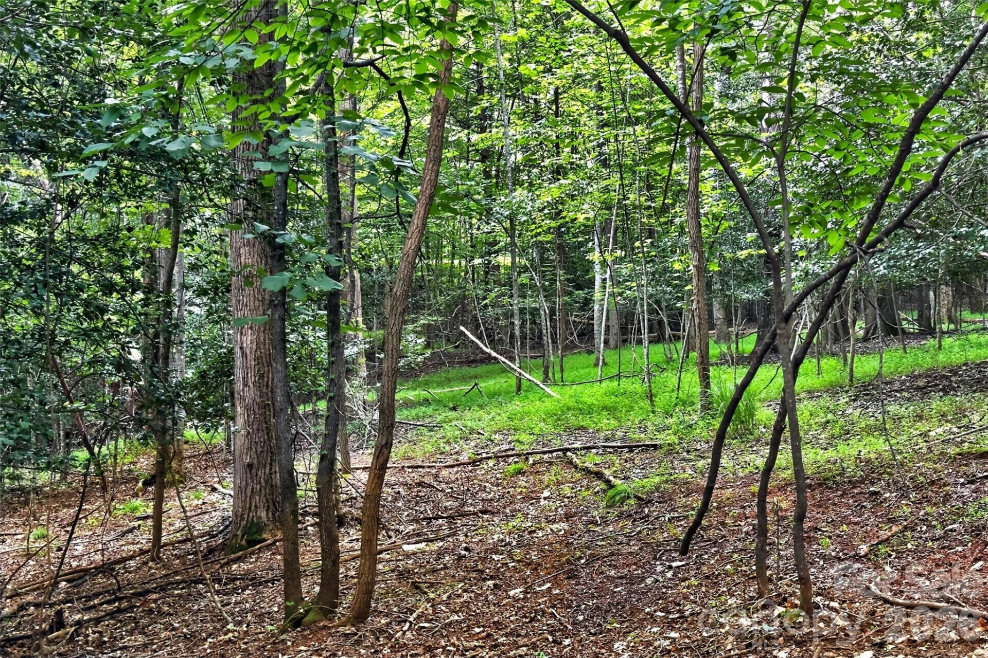360 Harborside Drive - Photo 15