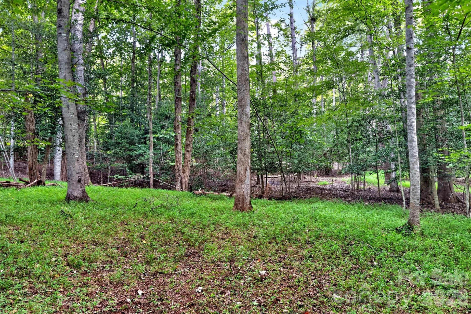 360 Harborside Drive - Photo 16