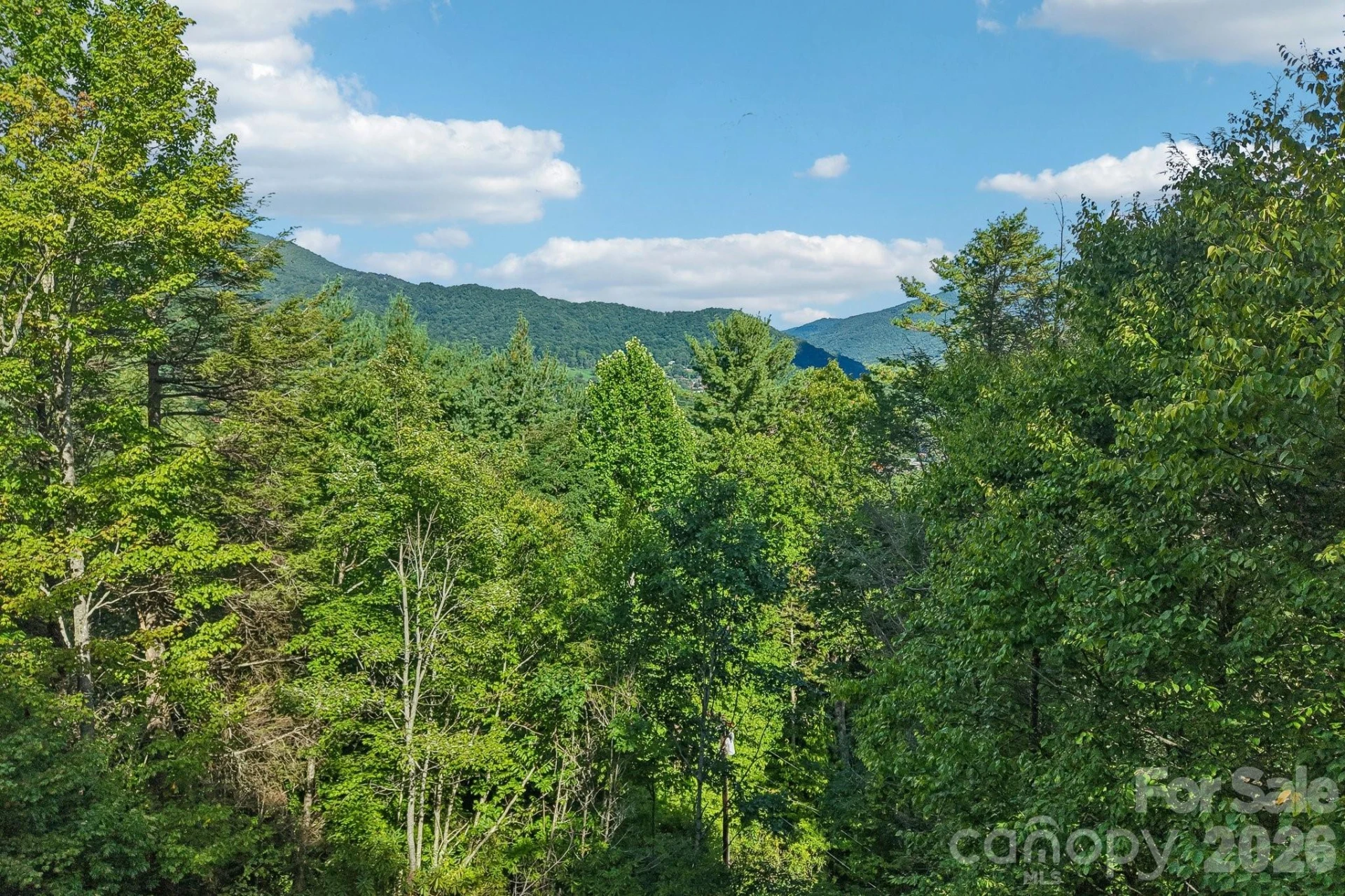 782 Setzer Cove Road - Photo 45