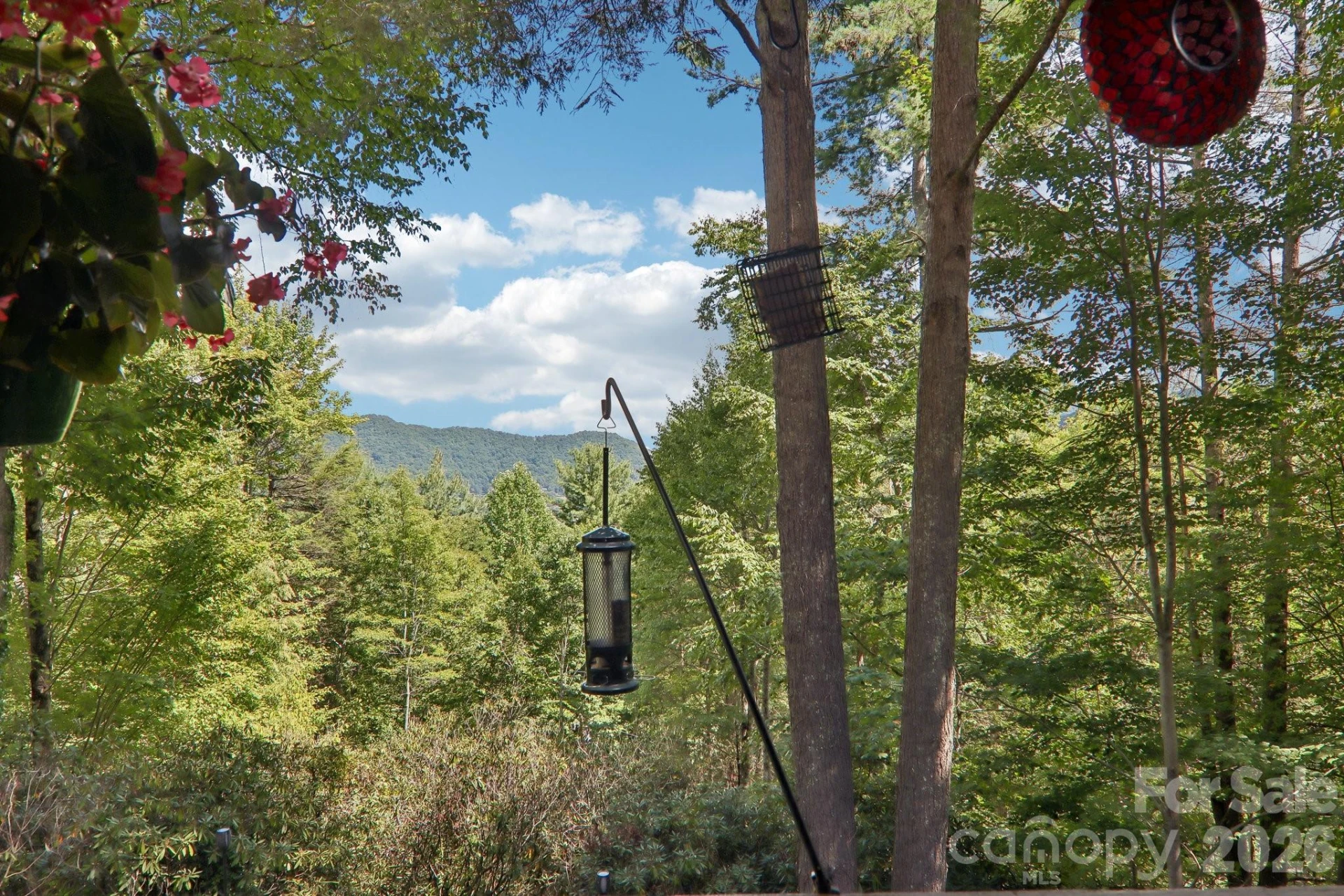 782 Setzer Cove Road - Photo 46