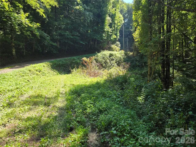 24 Tater Patch Road, Maggie Valley, NC, 28751
