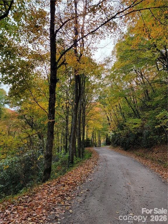 24 Tater Patch Road - Photo 2