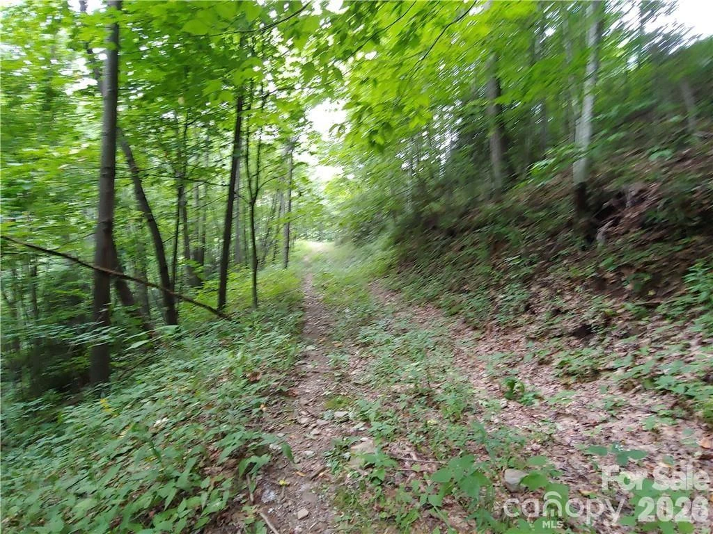 24 Tater Patch Road - Photo 3