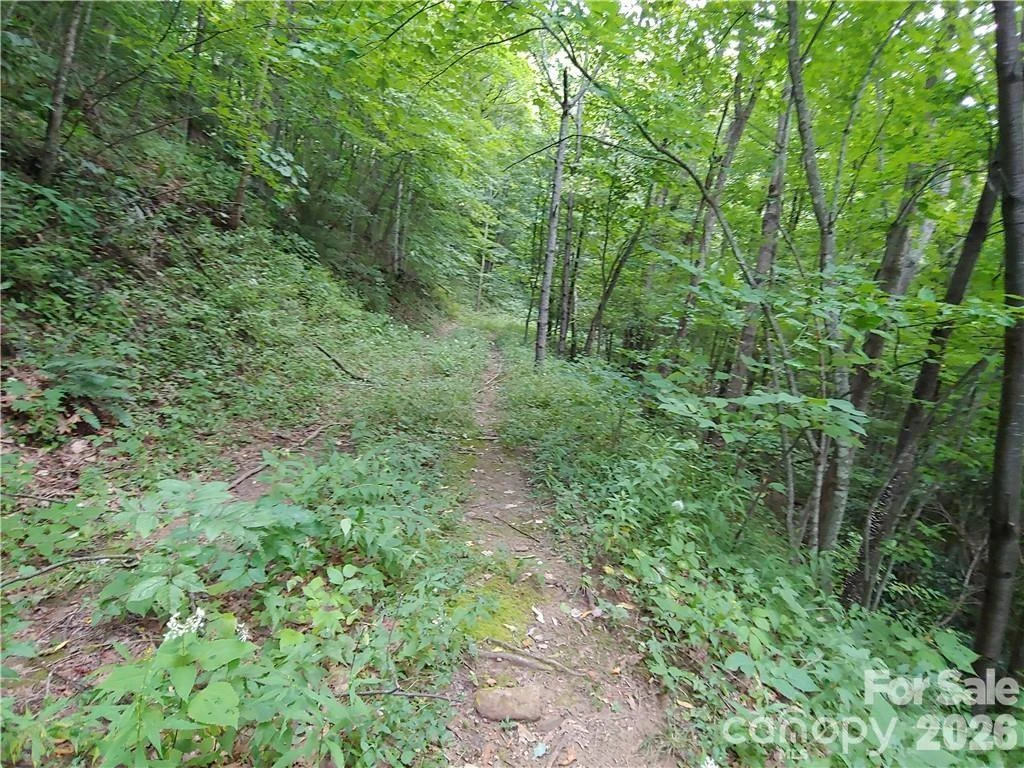 24 Tater Patch Road - Photo 4