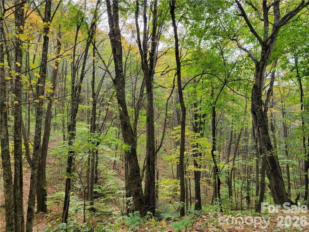 24 Tater Patch Road - Photo 8