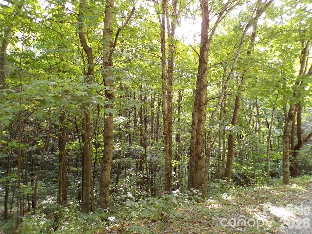 24 Tater Patch Road - Photo 9