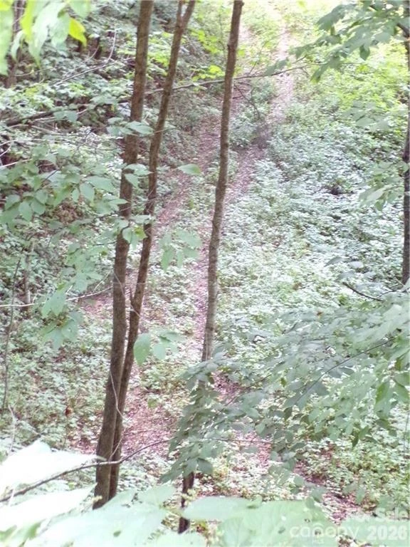 24 Tater Patch Road - Photo 10