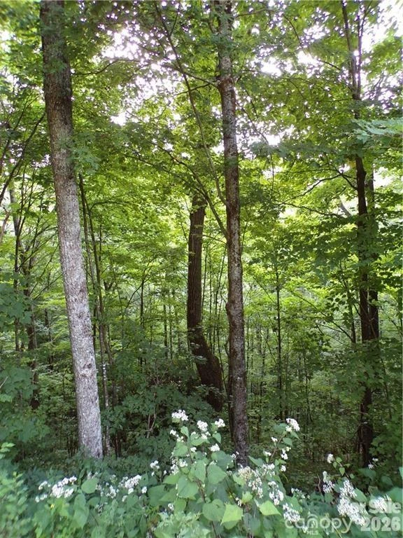 24 Tater Patch Road - Photo 11