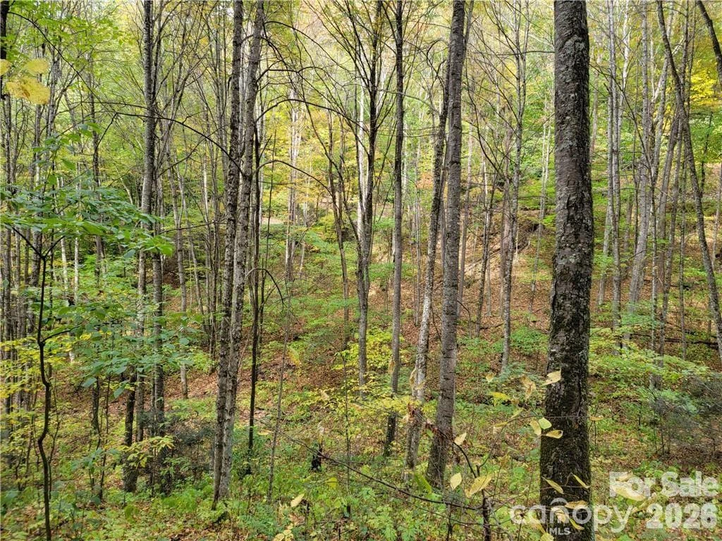 24 Tater Patch Road - Photo 12