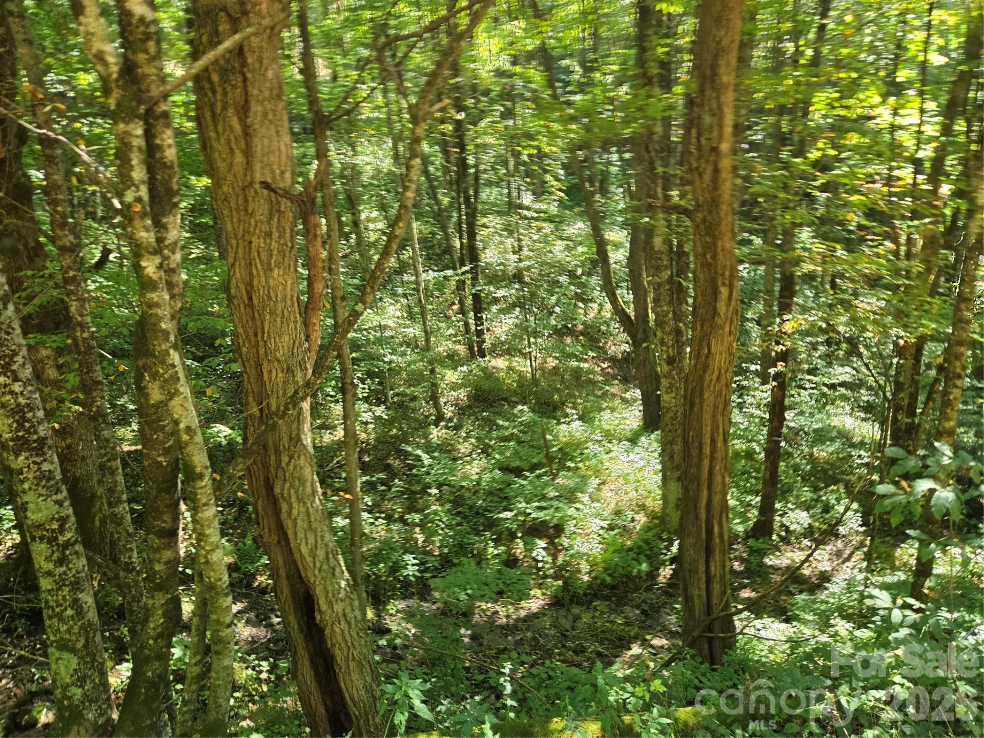 24 Tater Patch Road - Photo 14