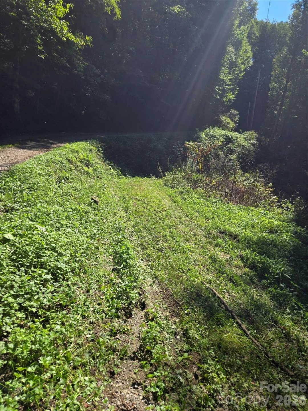 24 Tater Patch Road - Photo 15