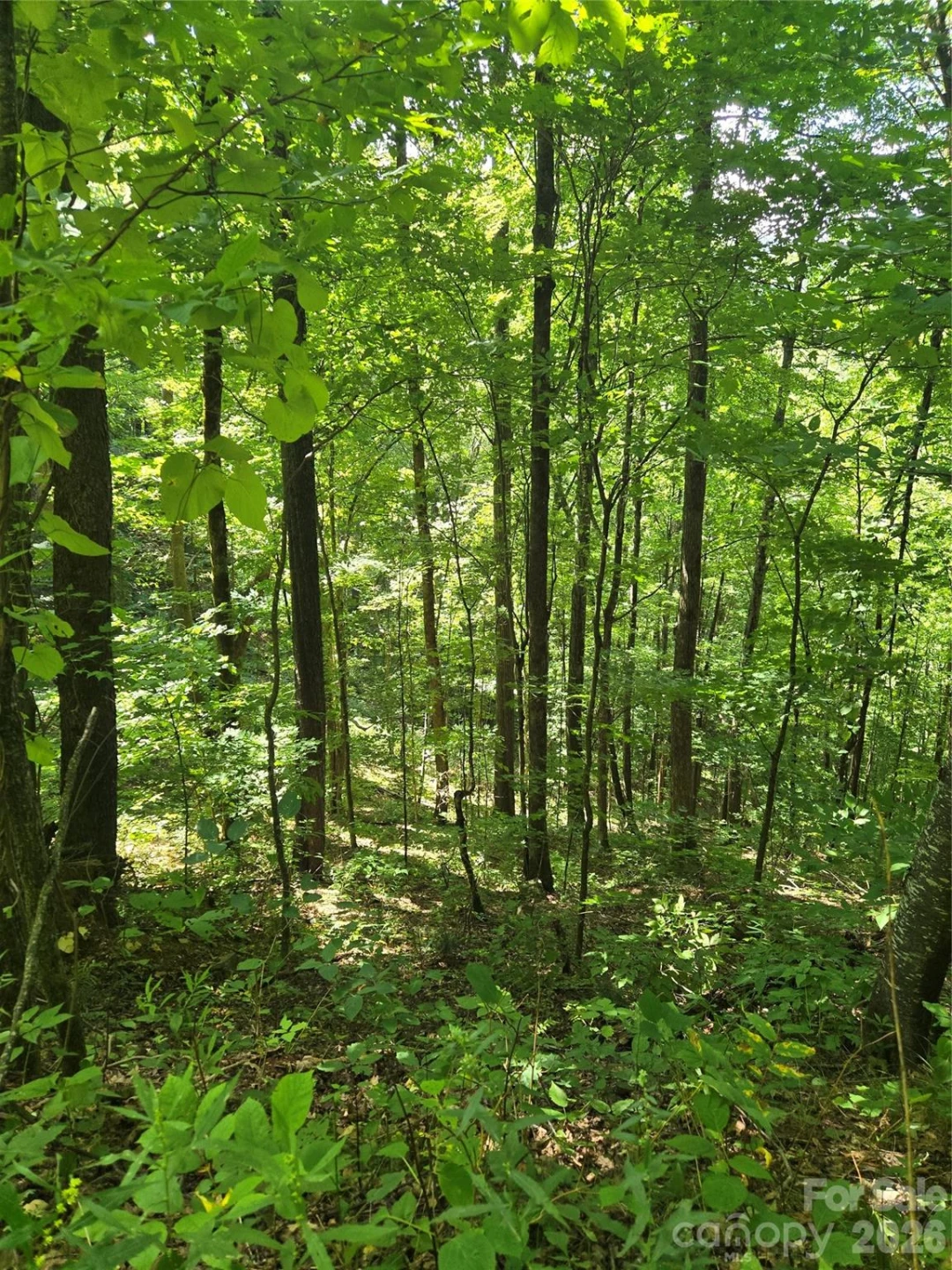 24 Tater Patch Road - Photo 16