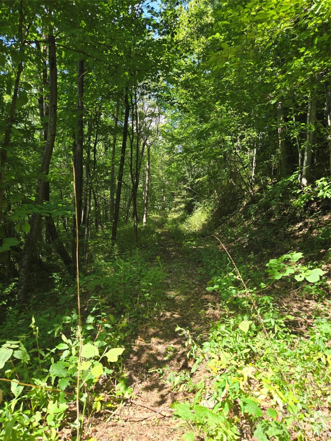 24 Tater Patch Road - Photo 17
