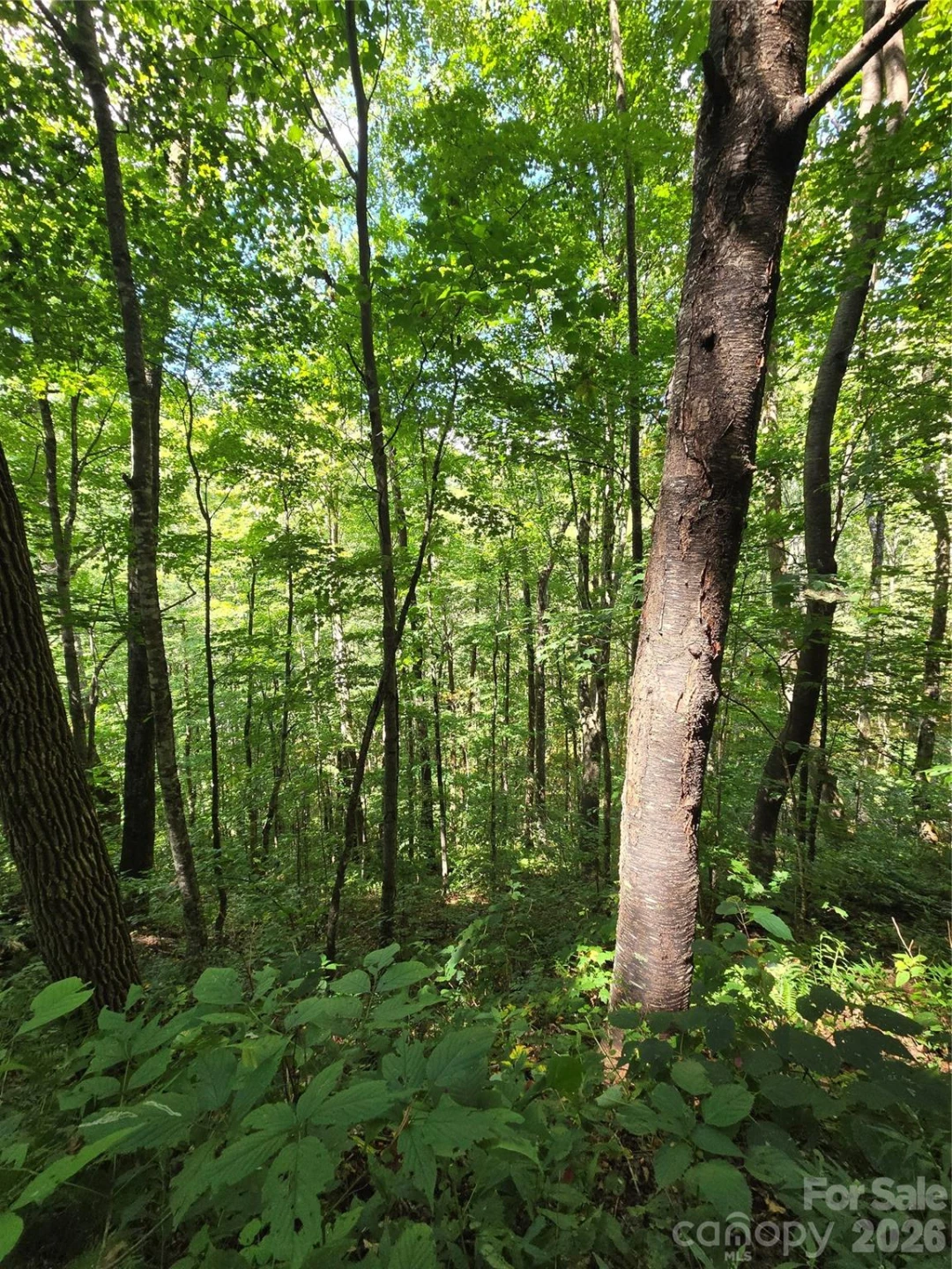24 Tater Patch Road - Photo 21