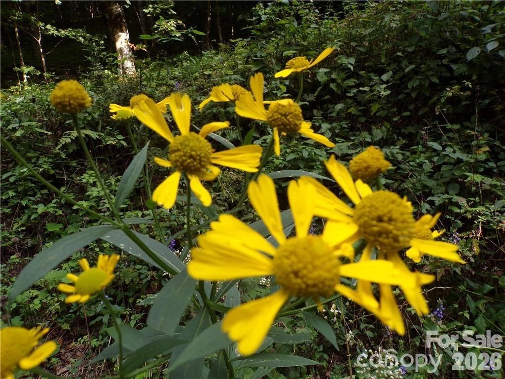24 Tater Patch Road - Photo 23