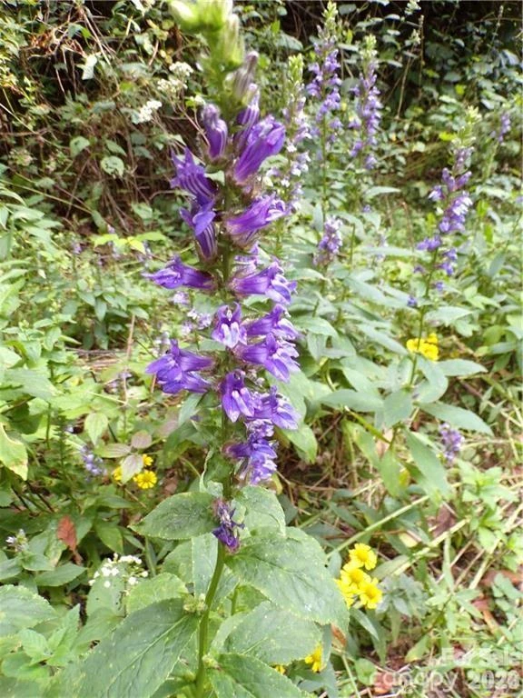 24 Tater Patch Road - Photo 24