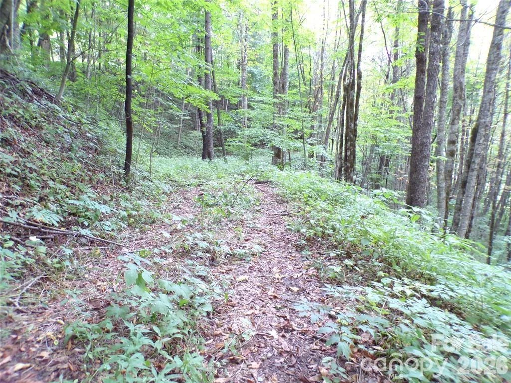 24 Tater Patch Road - Photo 25